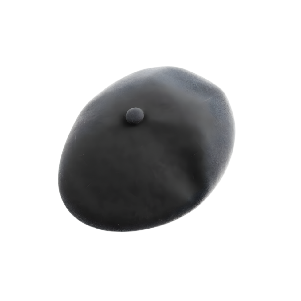 3d rendering of a black stone isolated on a transparent background png