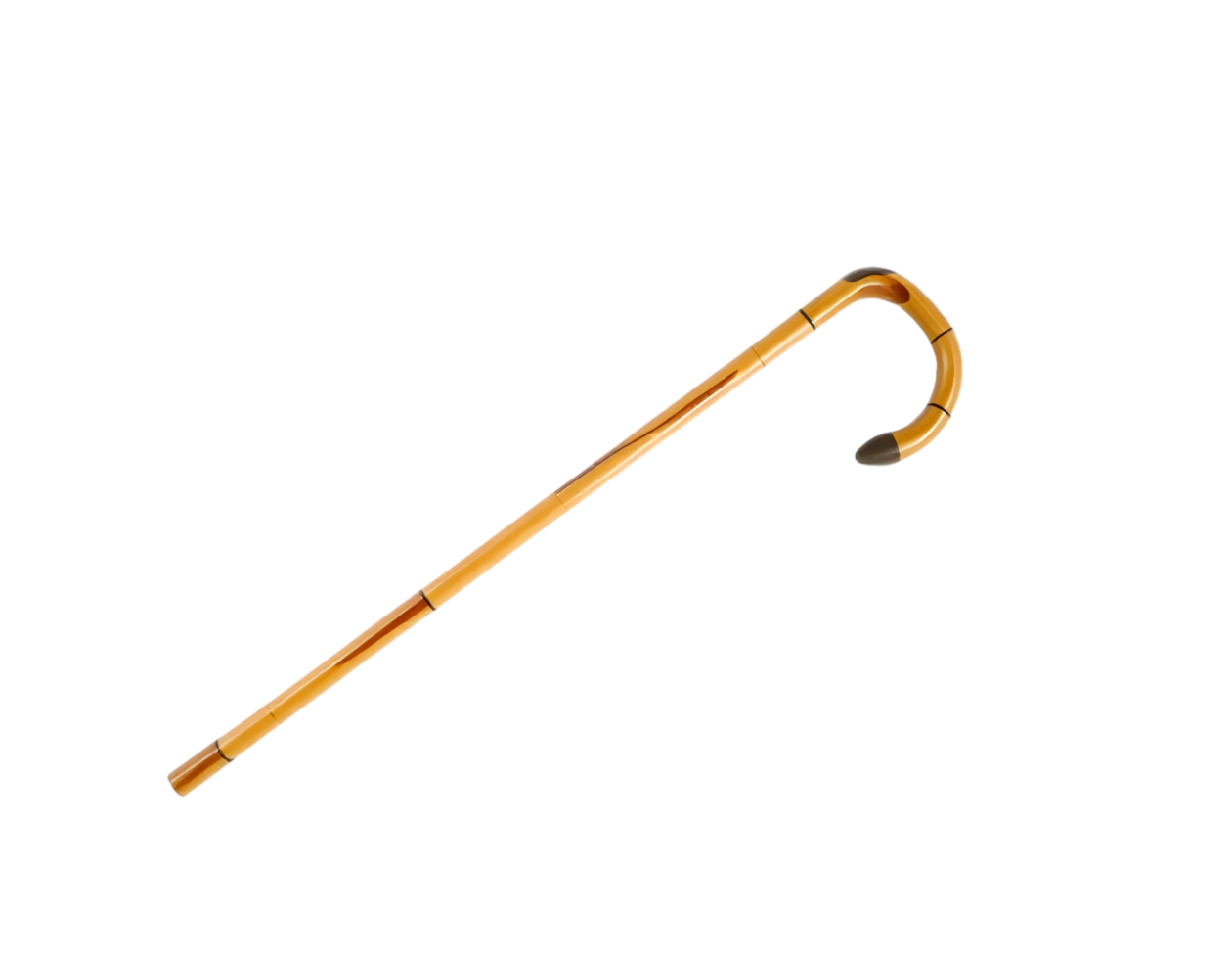 Realistic golden walking stick isolated on transparent background png
