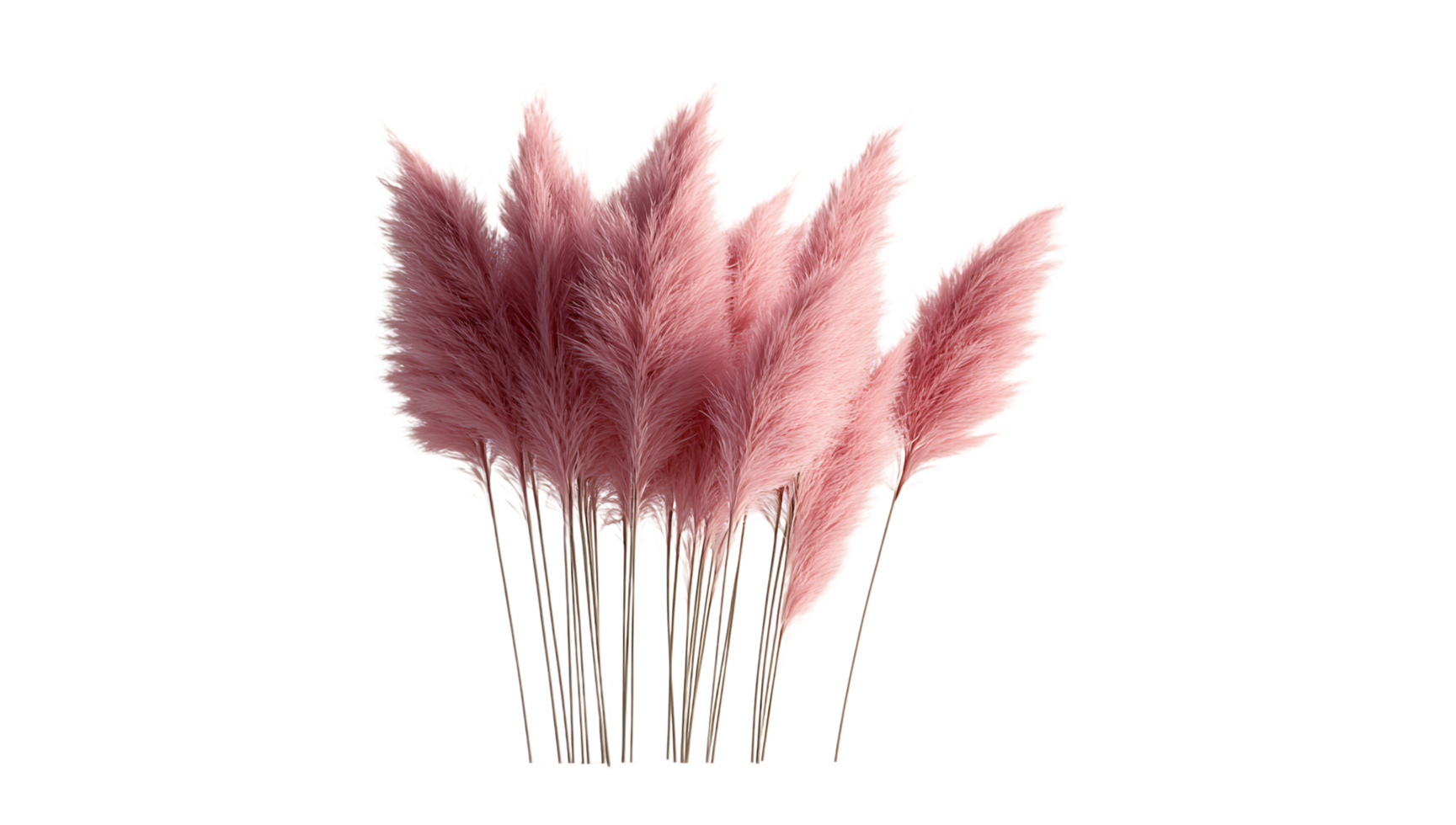 Pink pampas grass bouquet png