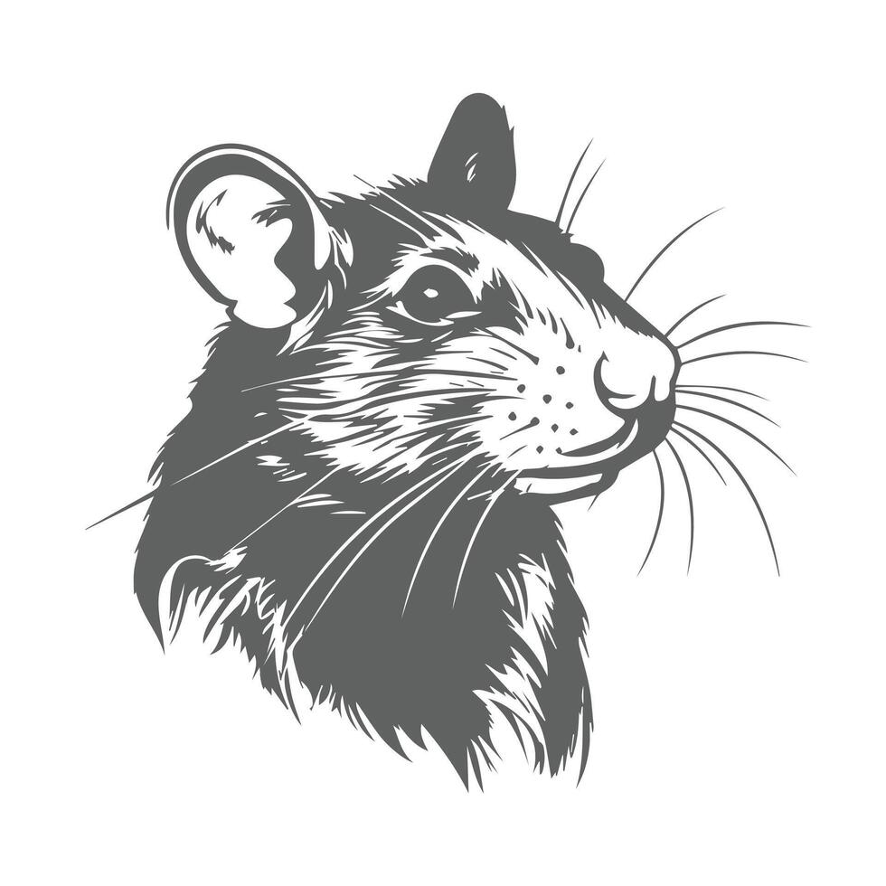 A rat head on a white background vector