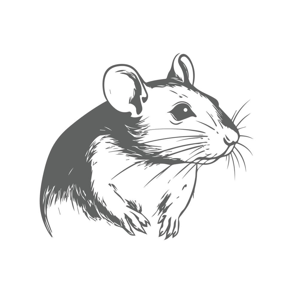 A black and white drawing of a mouse vector