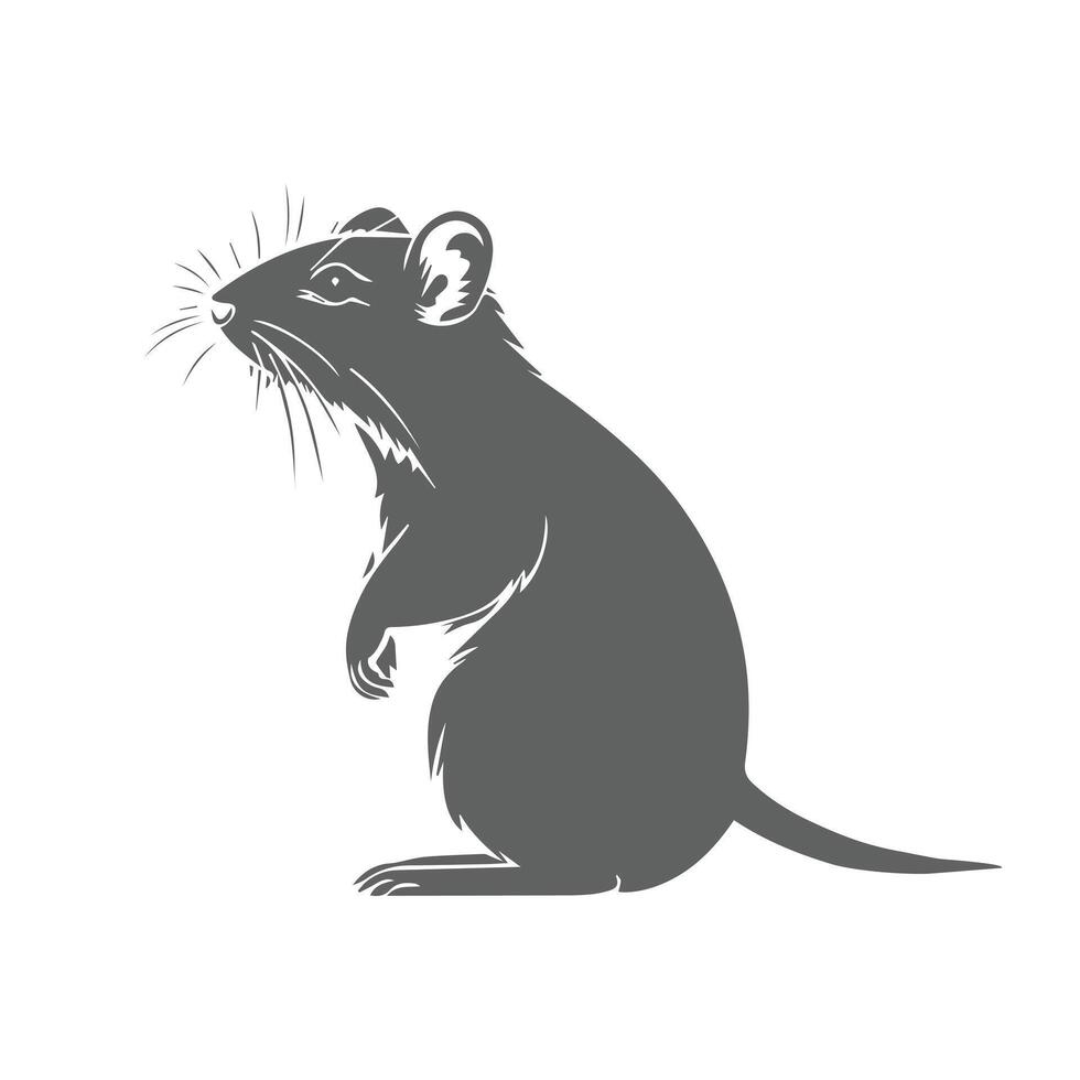 silhouette of mouse animal isolated on white background . vector