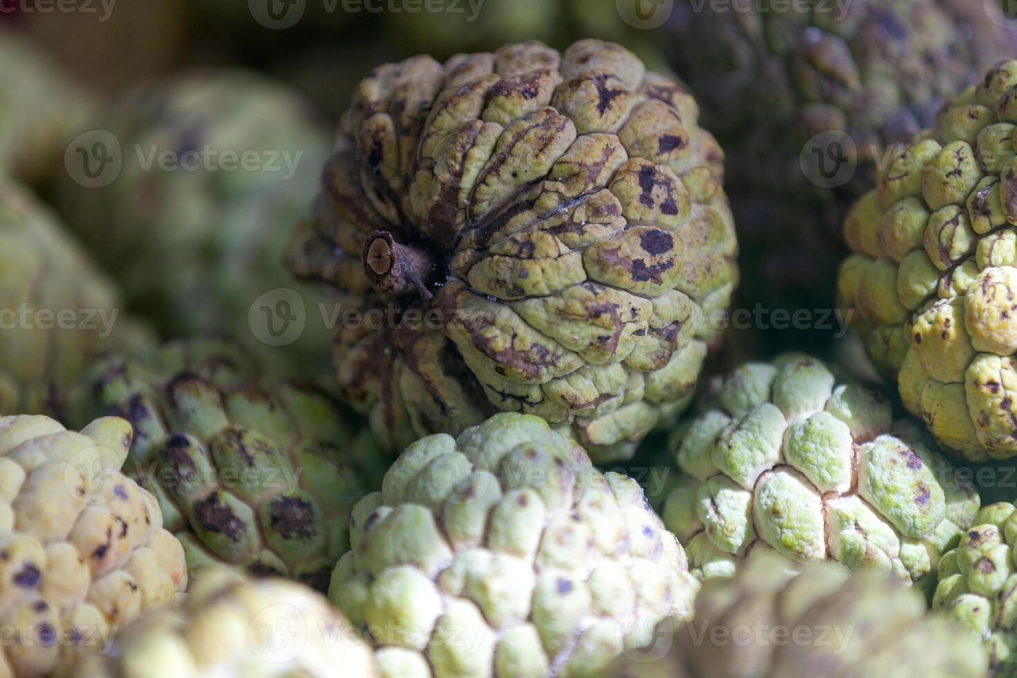Stack of Sugar apples on a stall photo