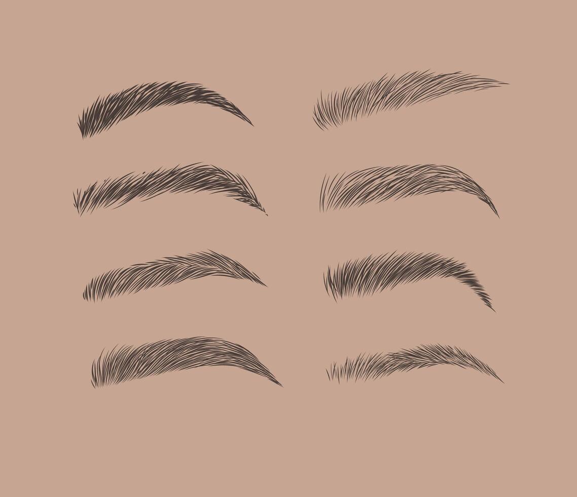 Eyebrows collection set in different shape form drawing with black on brown background vector