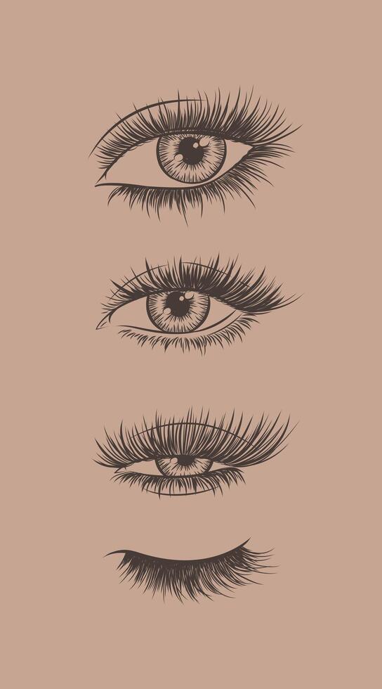 Eyes and eyelash collection drawing in graphic art style on brown background vector