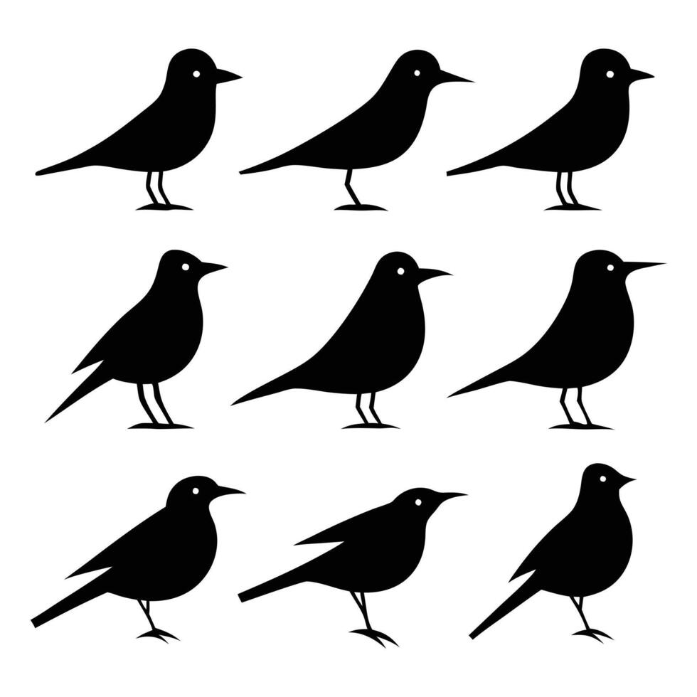 Nine Black Bird Silhouettes Avian Icons, Simple Shapes, Wildlife Designs vector