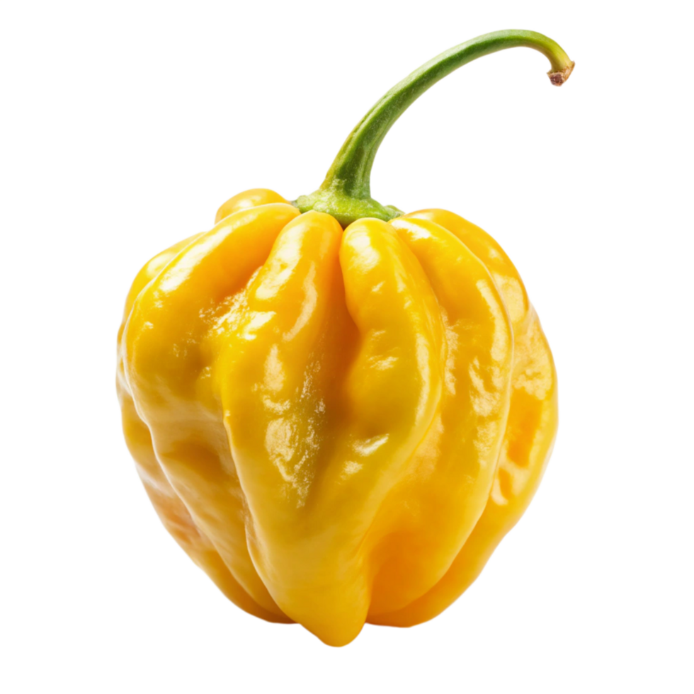 yellow Carolina reaper is isolated on transparent background png