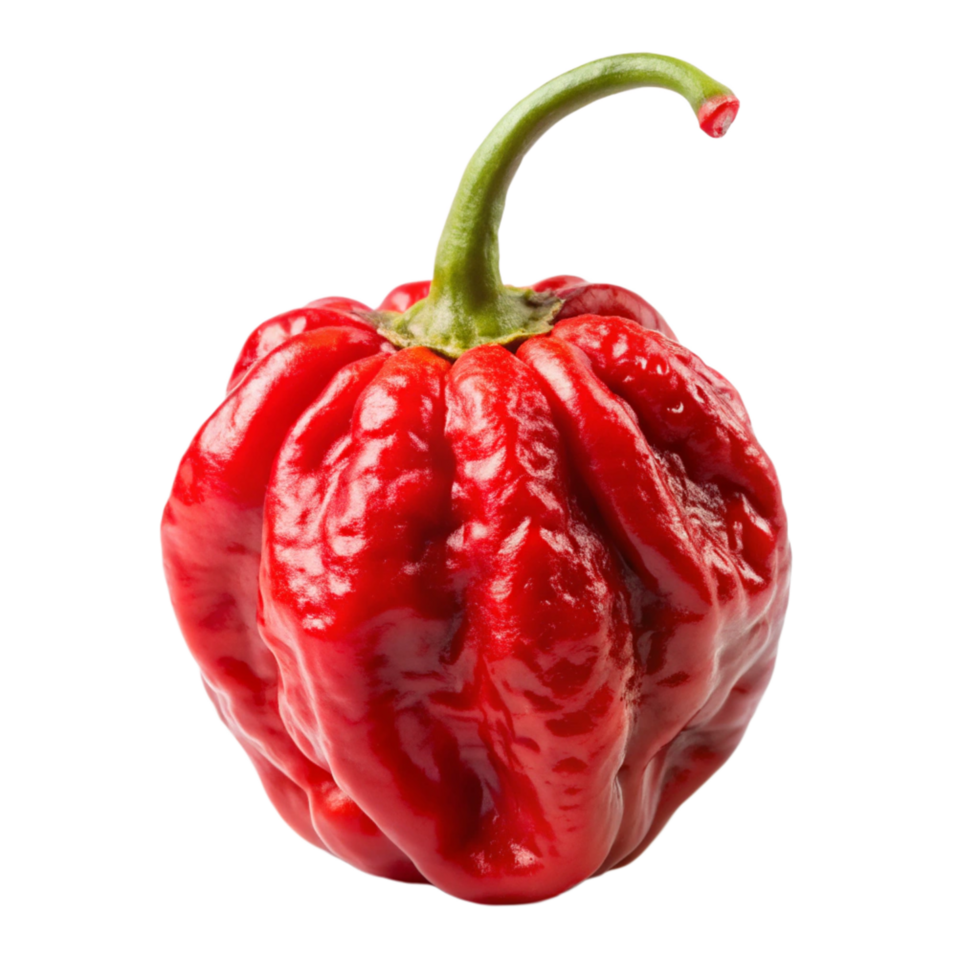 Carolina reaper is isolated on transparent background png