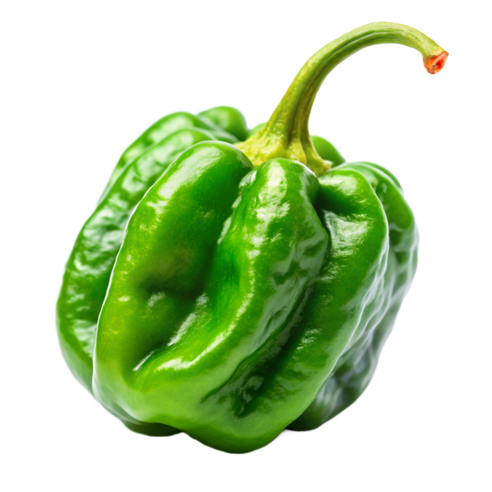 green Carolina reaper is isolated on transparent background png
