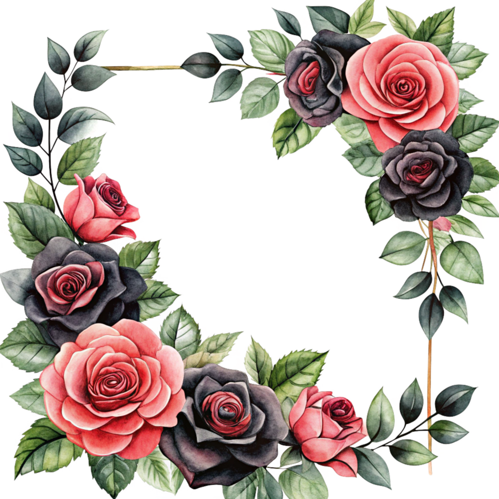 watercolour back beautiful rose corner frame is isolated on transparent background png