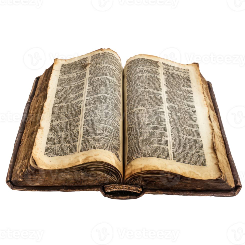 Torah jewish book open isolate on transparent background png