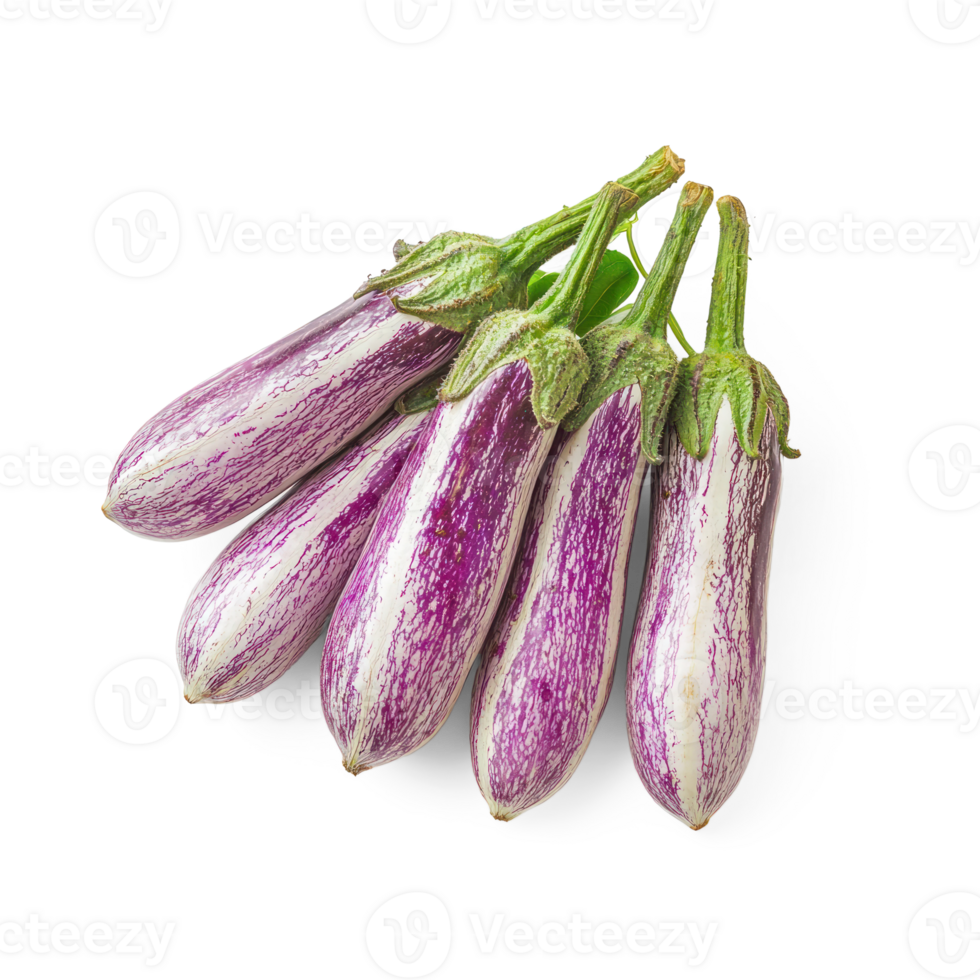 five eggplants on transparent background png