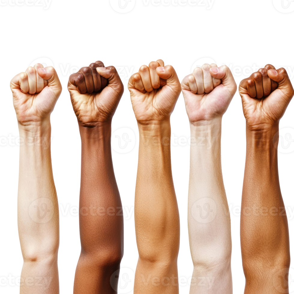 diverse fists raised high in unity isolate on transparent background png