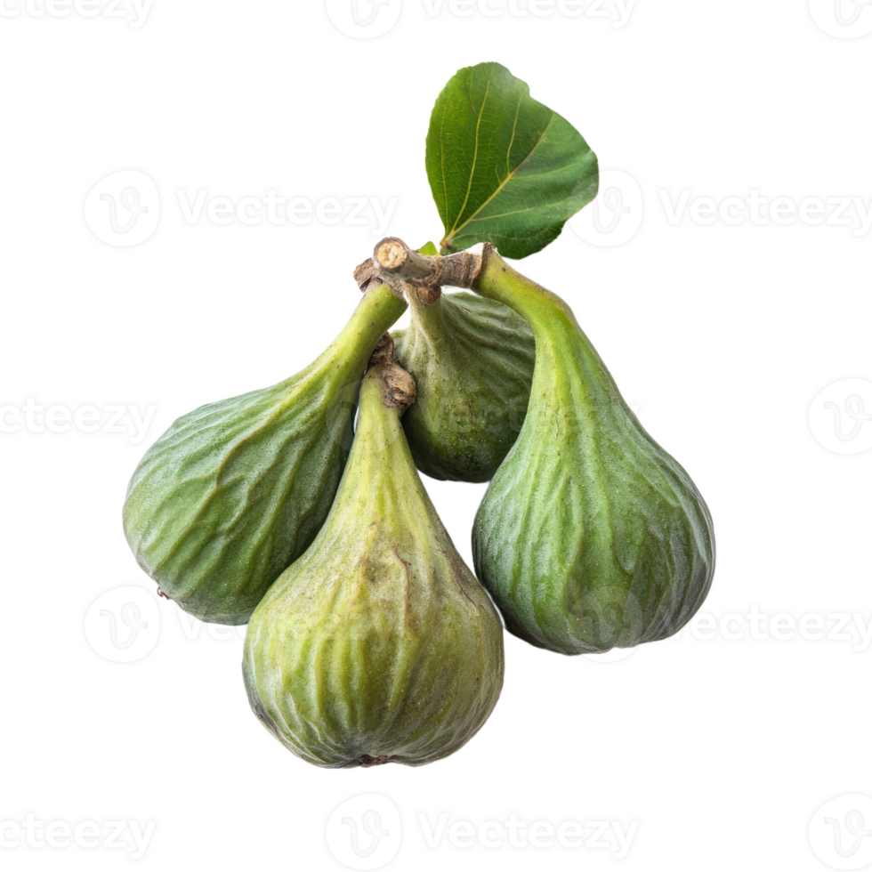 Fig Fruit isolate on transparent background png