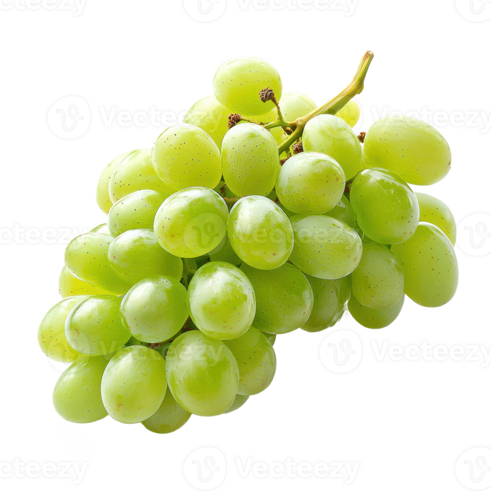 Grapes Fruit isolate on transparent background png