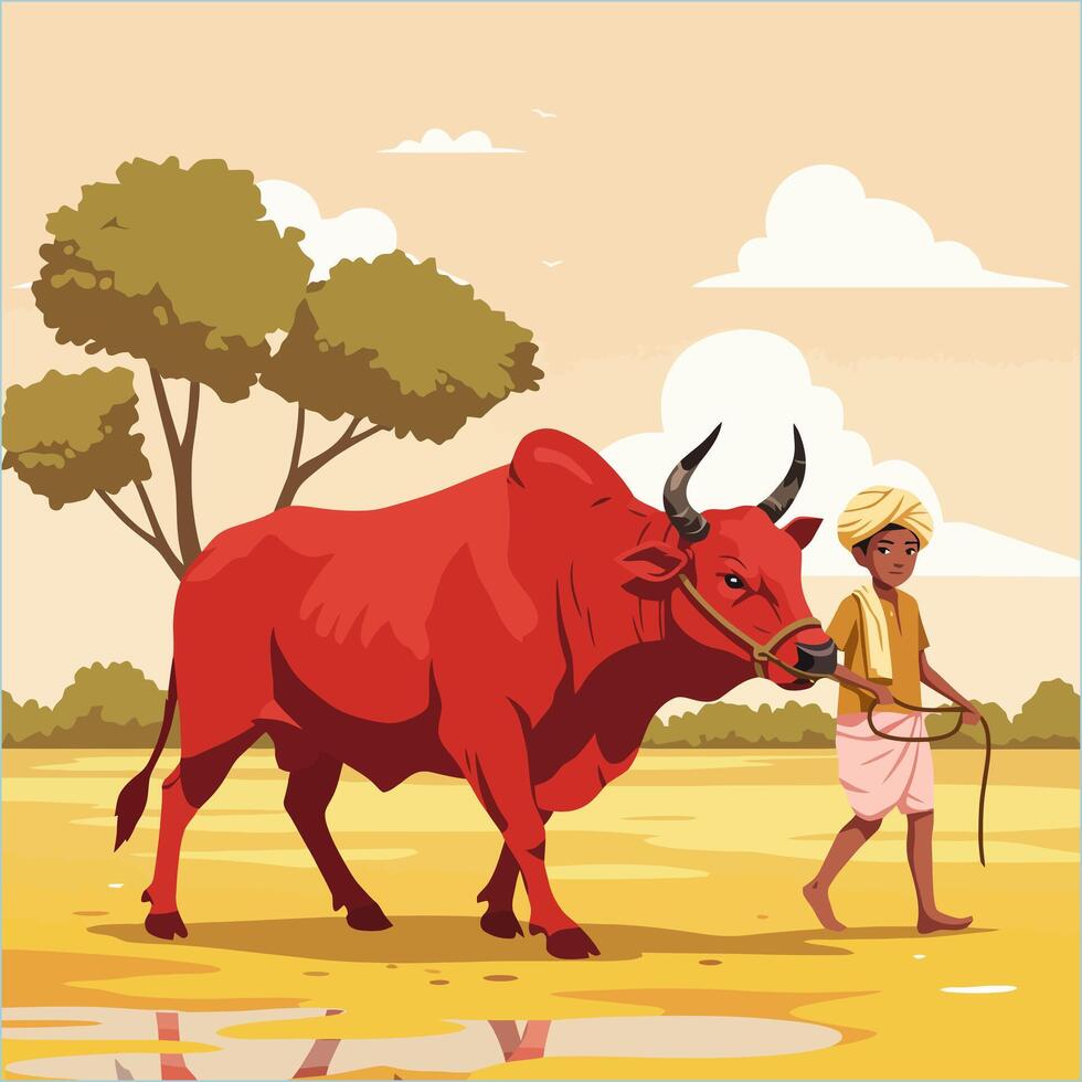 Farmer Walking with Red Bull in Rural Indian Agricultural Scene vector