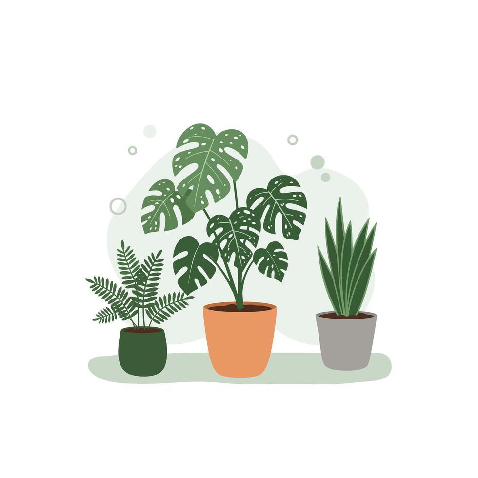 Three Potted House Plants Illustrative Grouping on White Background vector