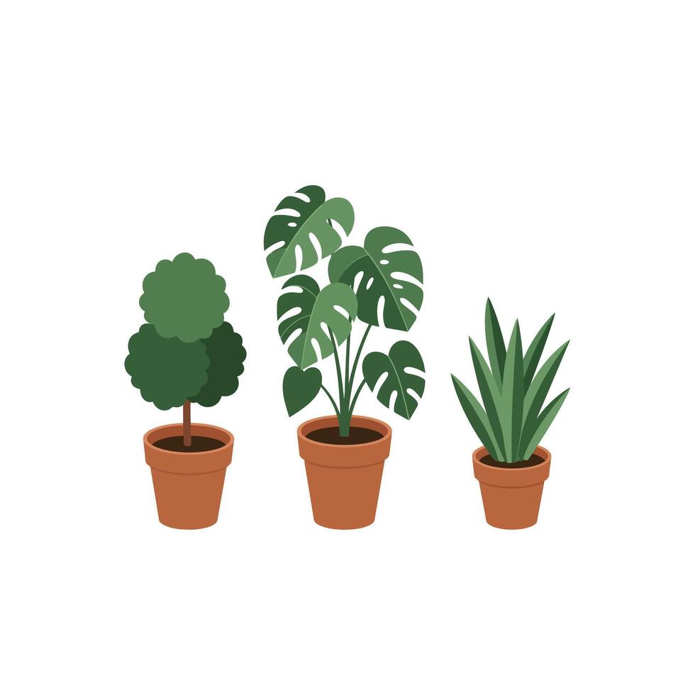 Three Potted Plants with Green Leaves in Terracotta Pots Illustration vector