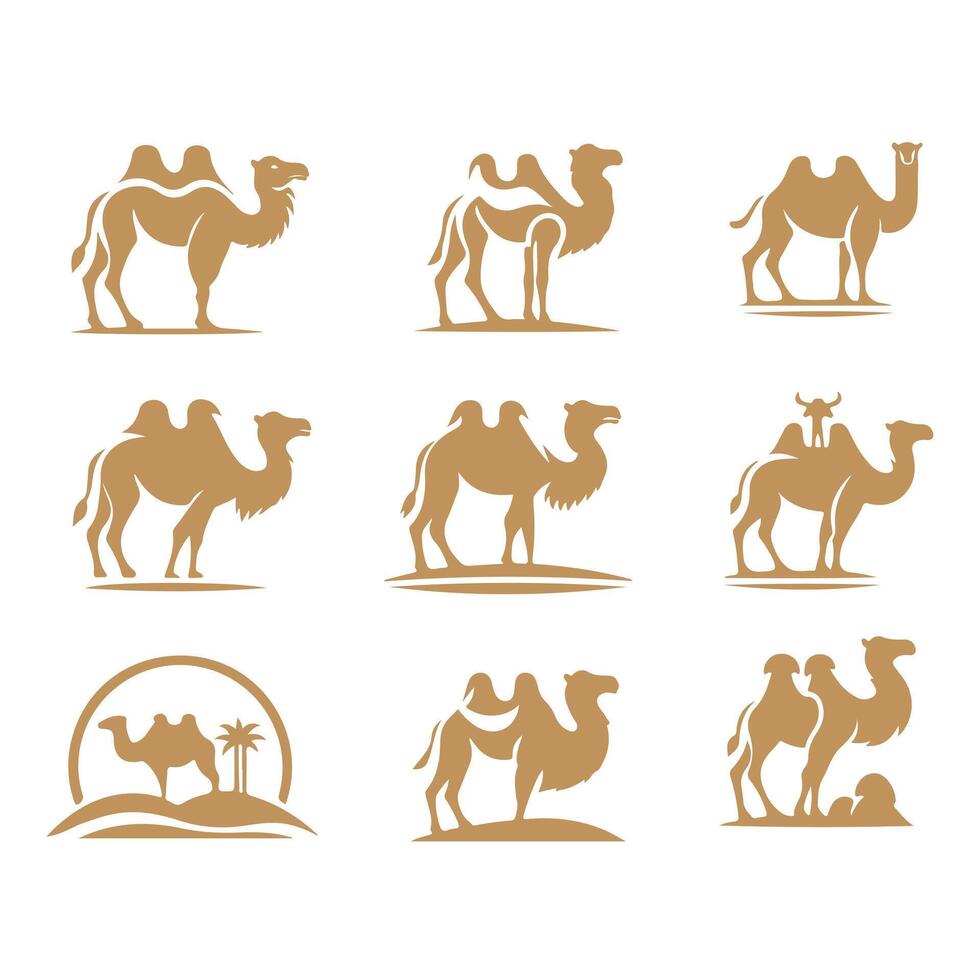 Nomads Pride Camel Collection Logo Design vector