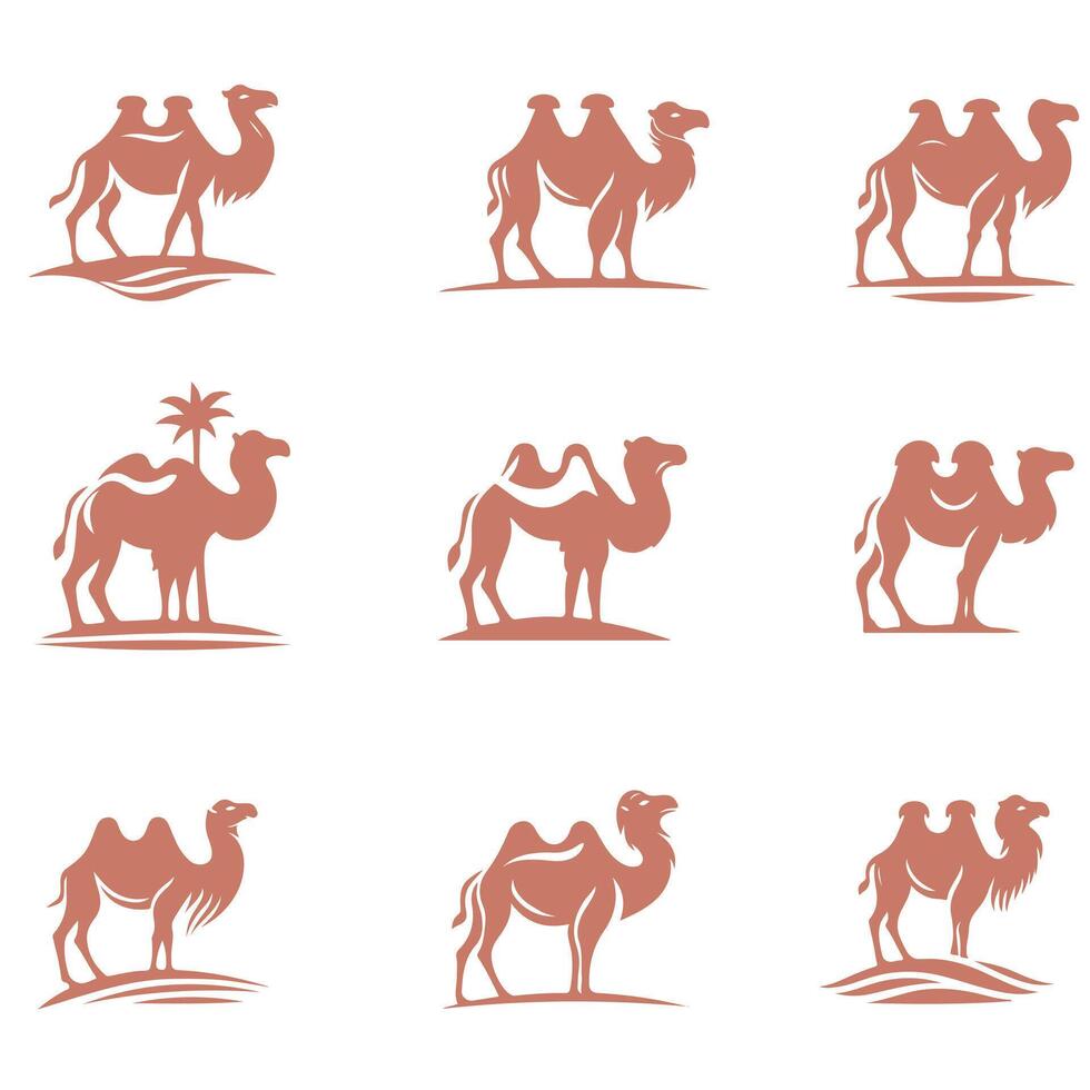 Desert Spirit Camel Collection Logo Design vector