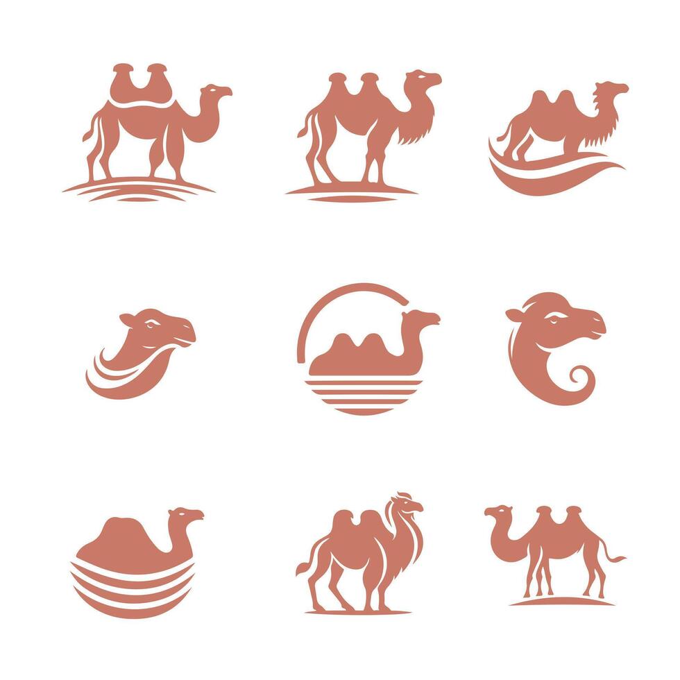 Desert Majesty Camel Collection Logo Design vector