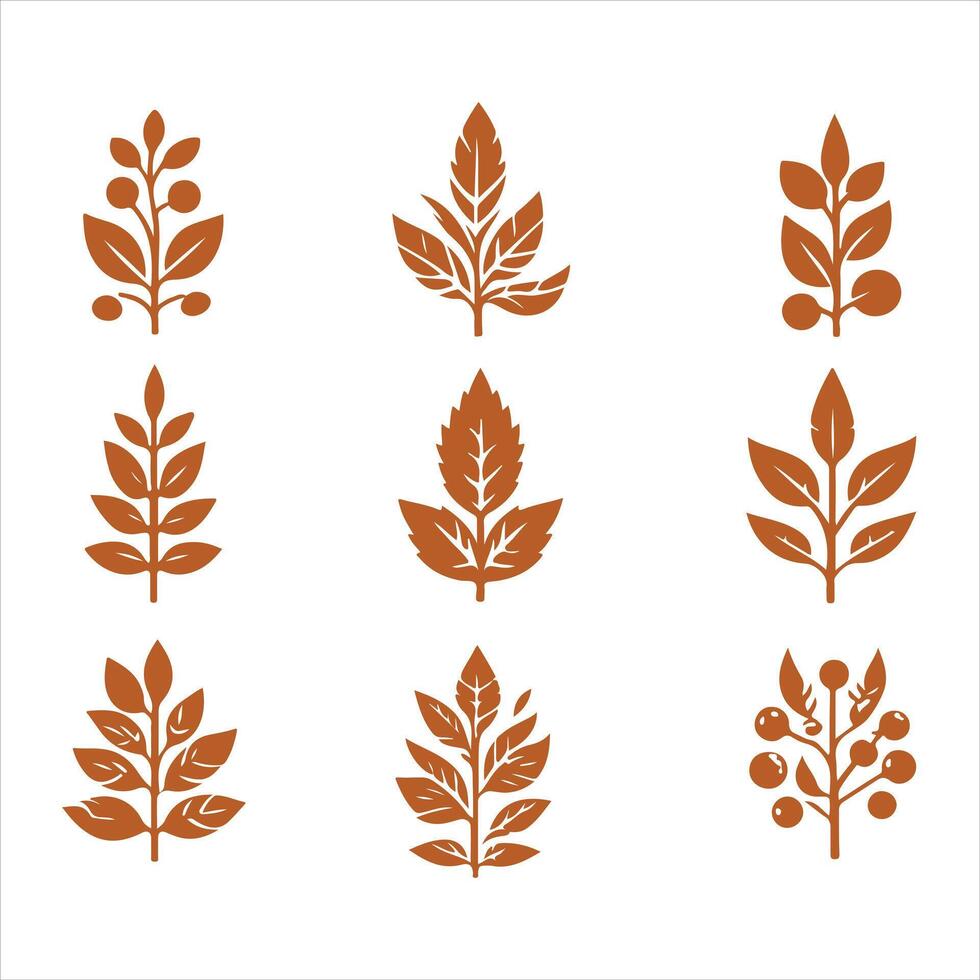 Golden Harvest collestion design vector
