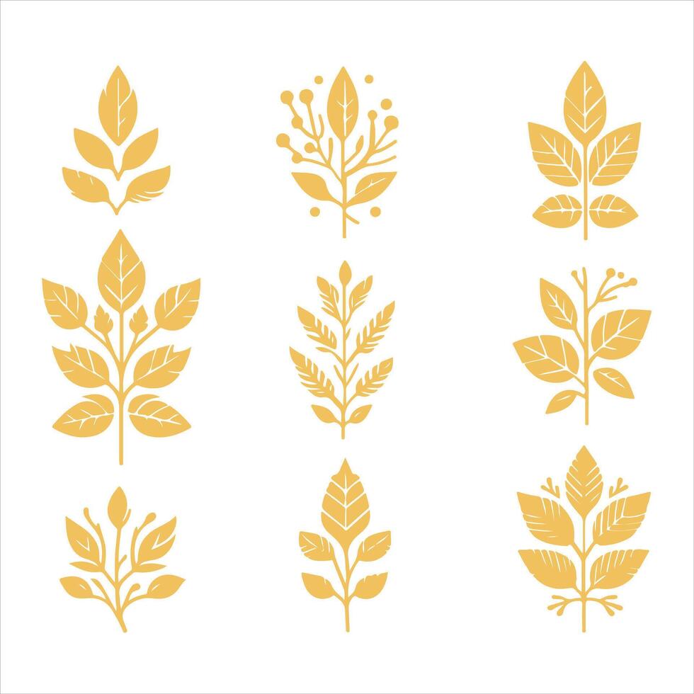 Harvest Fer collestion design vector