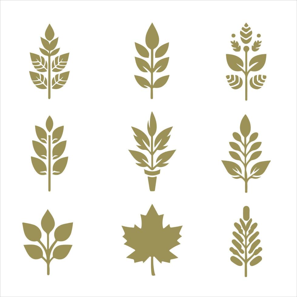 Autumn Spice collestion design vector