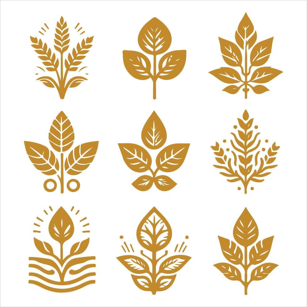 Crimson Fern collestion design vector