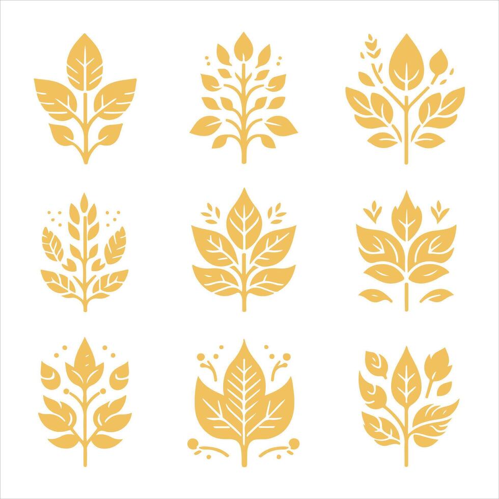 Fallen Petals collestion design vector