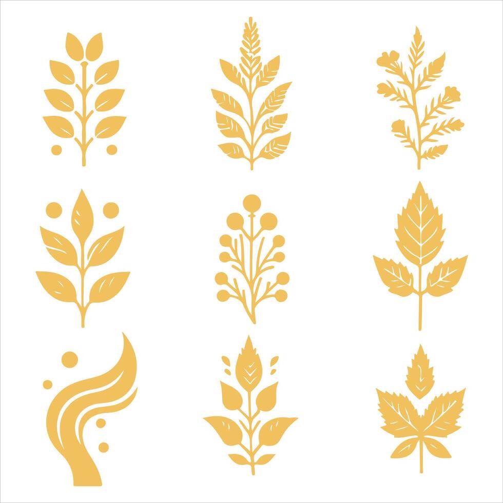 Maple Grove collestion design vector