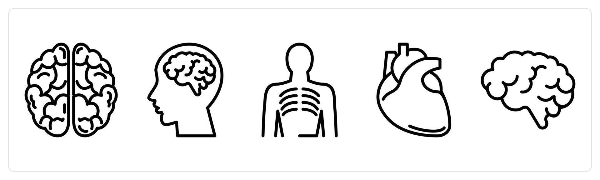 A set of 5 medical icons as brain, human brain, human ribs vector