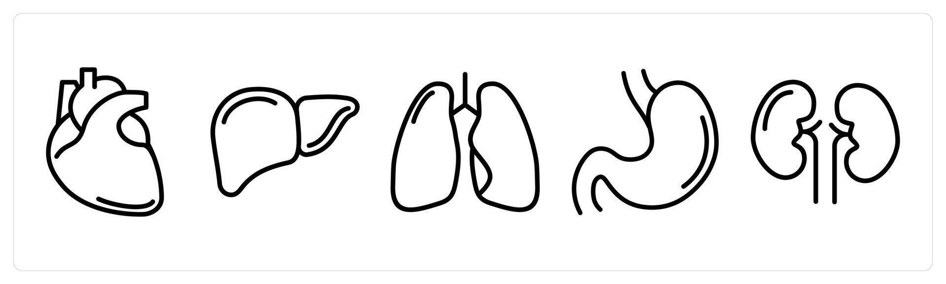 A set of 5 medical icons as human heart, liver, lungs vector