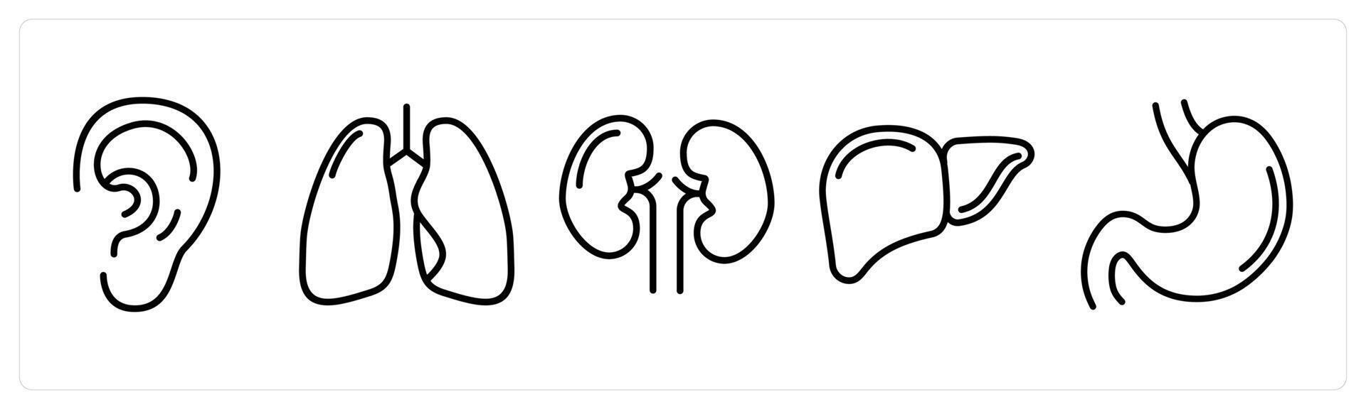 A set of 5 medical icons as ear, lungs, kidneys vector