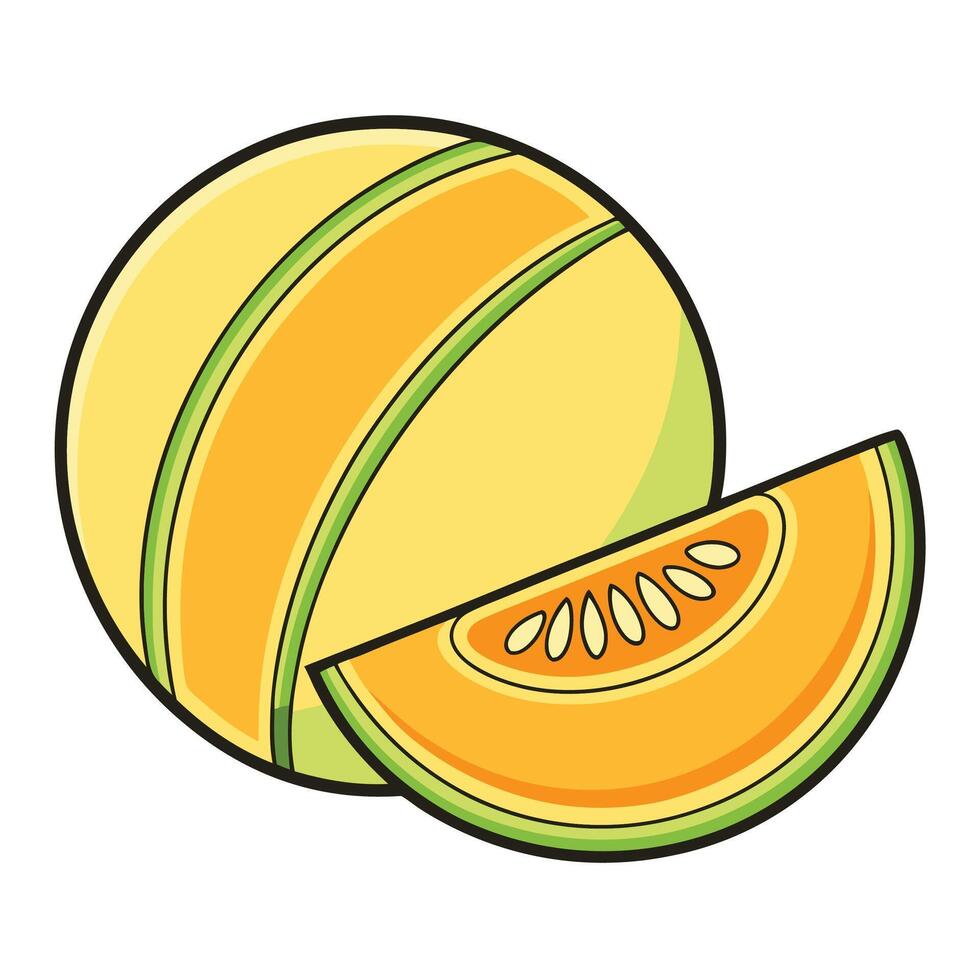a melon and a slice of it are shown vector