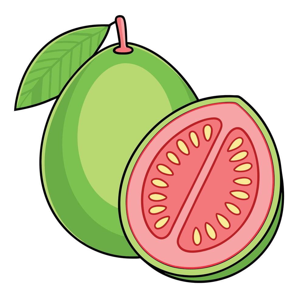 a green guava fruit with a slice cut in half vector