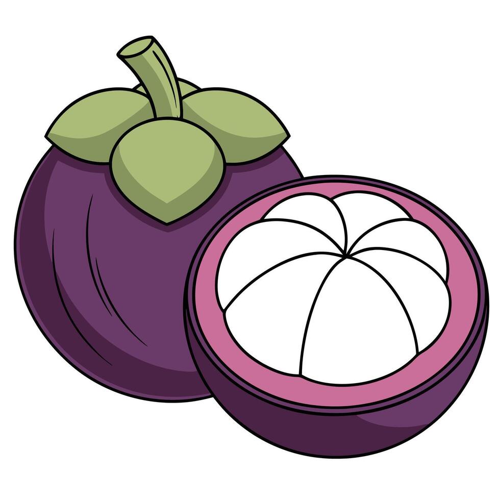 an illustration of a purple mango vector