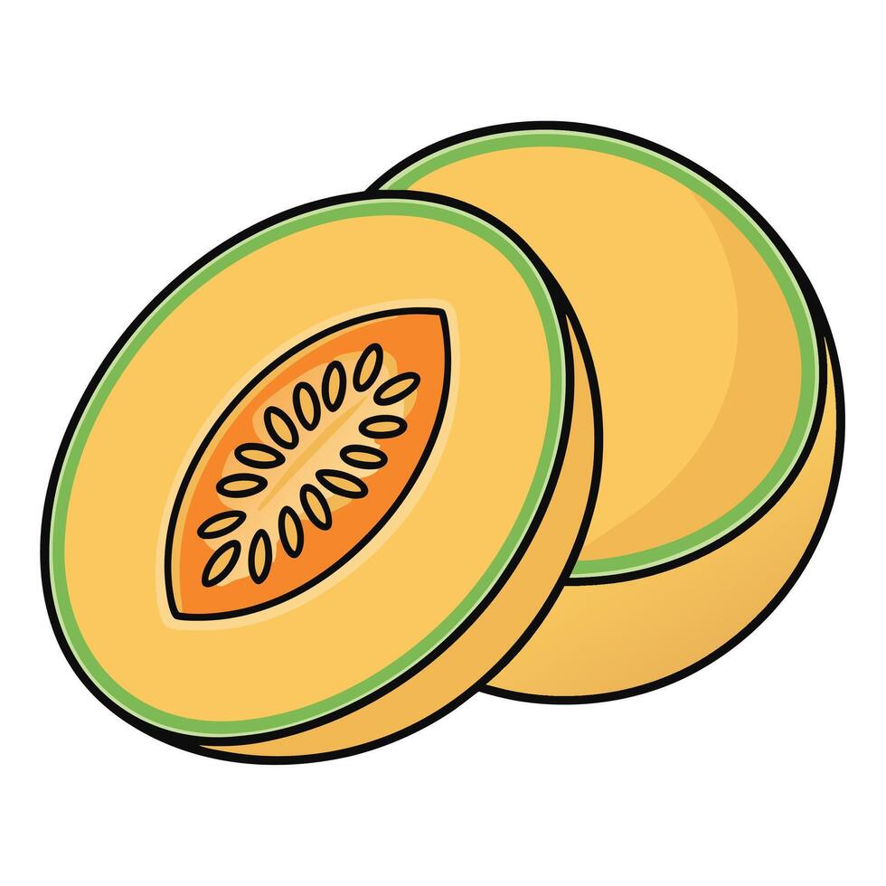 a melon is shown with a slice cut in half vector