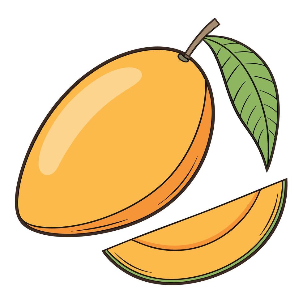 mango fruit white background illustration vector