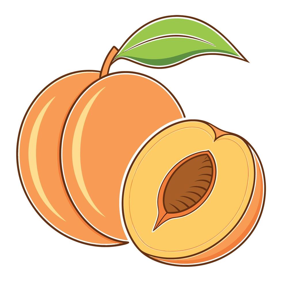a peach with a leaf and a half cut off vector