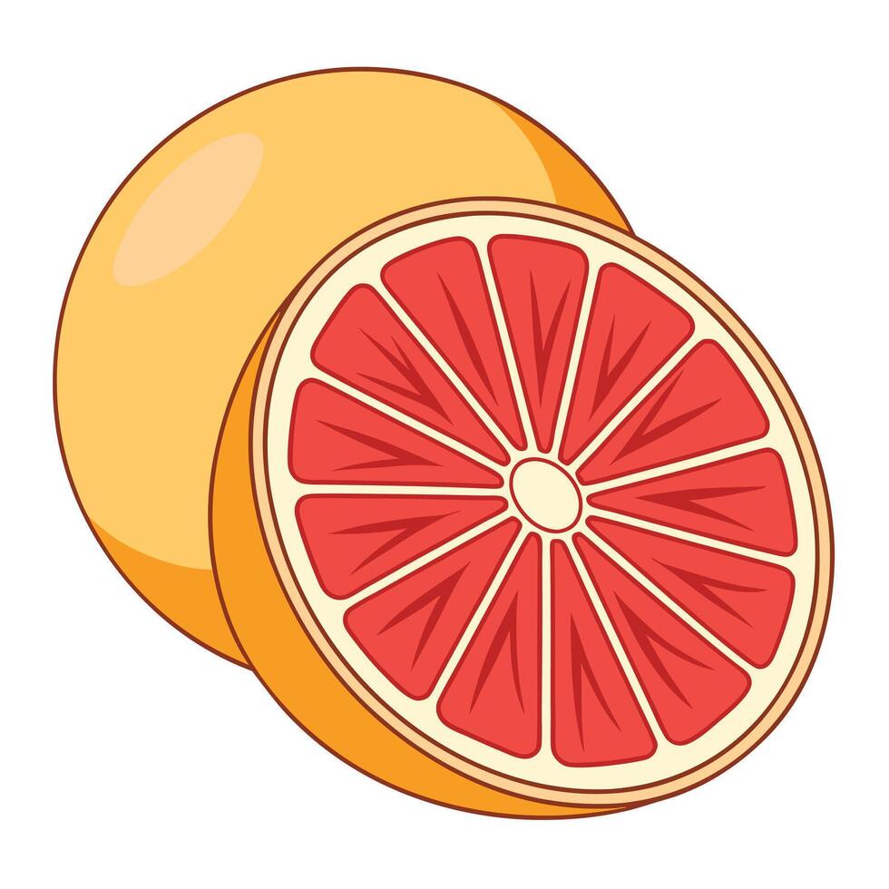 grapefruit white background illustration vector