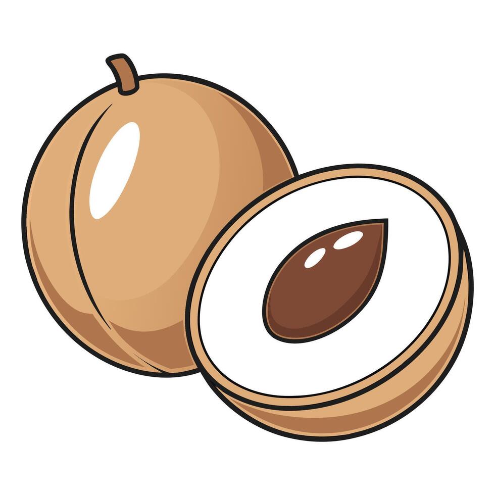 an illustration of a nut with a hole in it vector
