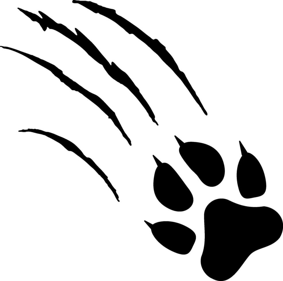 Illustration of a black paw print with claw marks ripping through a white background, creating a dramatic and evocative image of animal power and aggression vector
