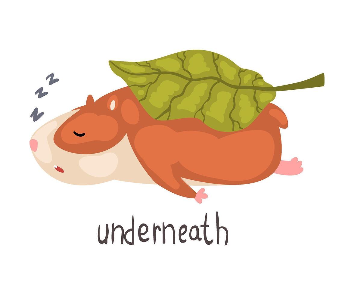 Underneath English Language Preposition of Place and Cute Sleeping Hamster Character, Educational Visual Material for Children Education Illustration vector