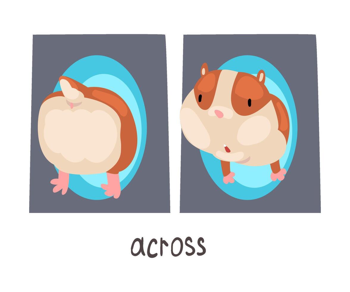 Across English Language Preposition and Cute Hamster Character, Educational Visual Material for Children Education Illustration vector