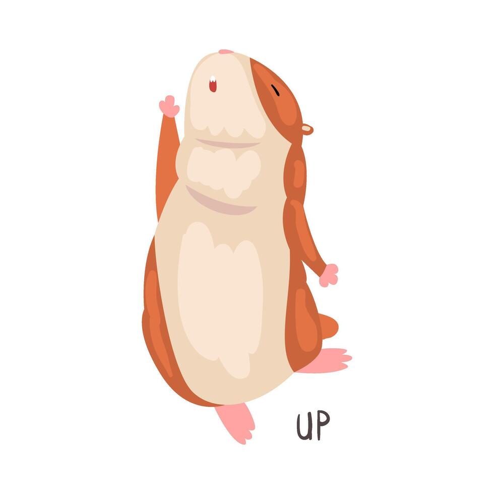 Up English Language Preposition of Place and Cute Hamster Character, Educational Visual Material for Children Education Illustration vector