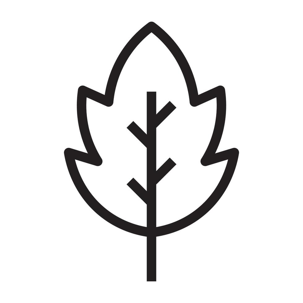 Leaf icon with branch veins, nature and eco symbol, black and white illustration isolated on white background vector