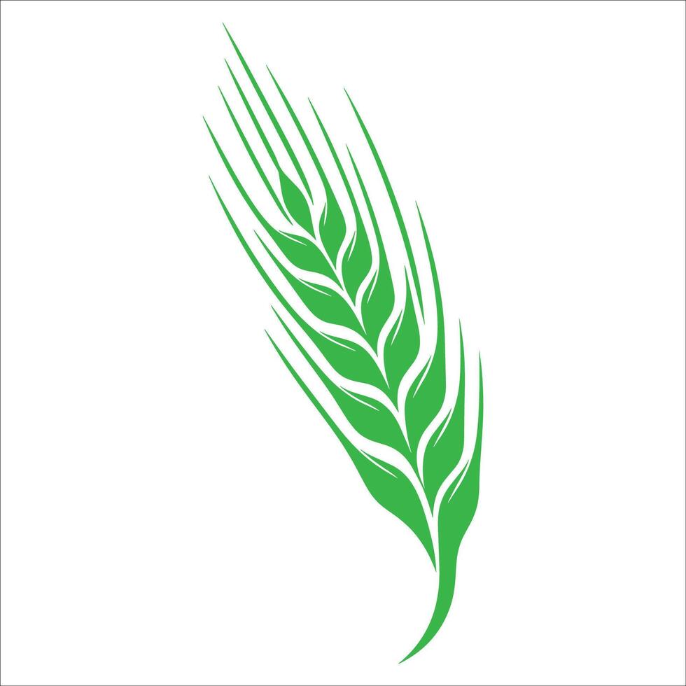 A green wheat leaf icon on a white background vector