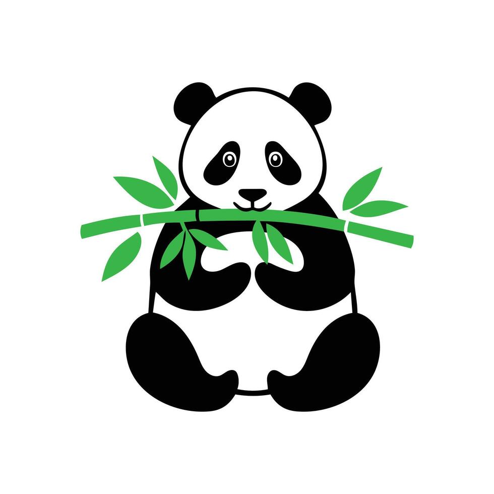 Panda bear holding bamboo branch on white background vector