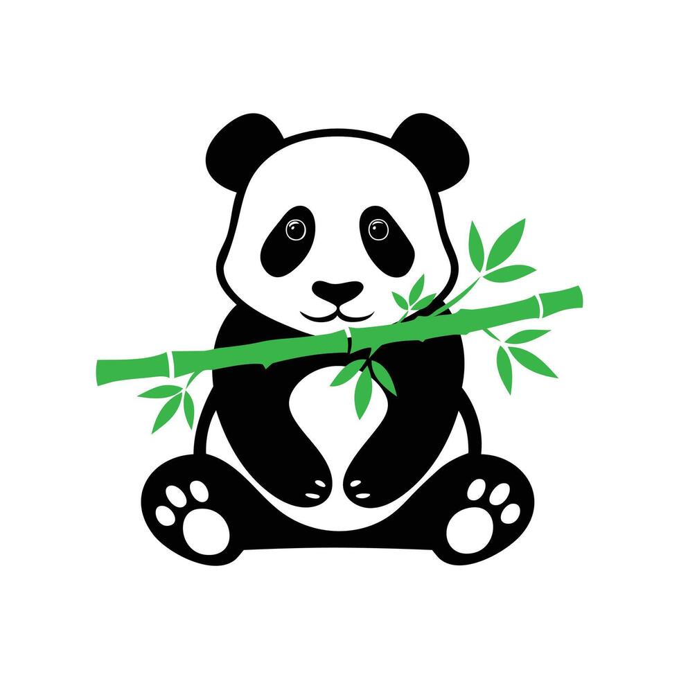 Panda bear holding bamboo branch on white background vector